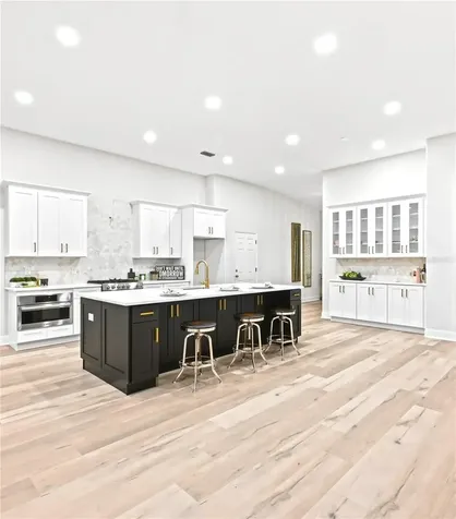 19307 Wind Dancer Street Lutz FL 33558