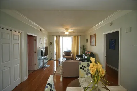 345 Bayshore Boulevard Tampa FL 33606