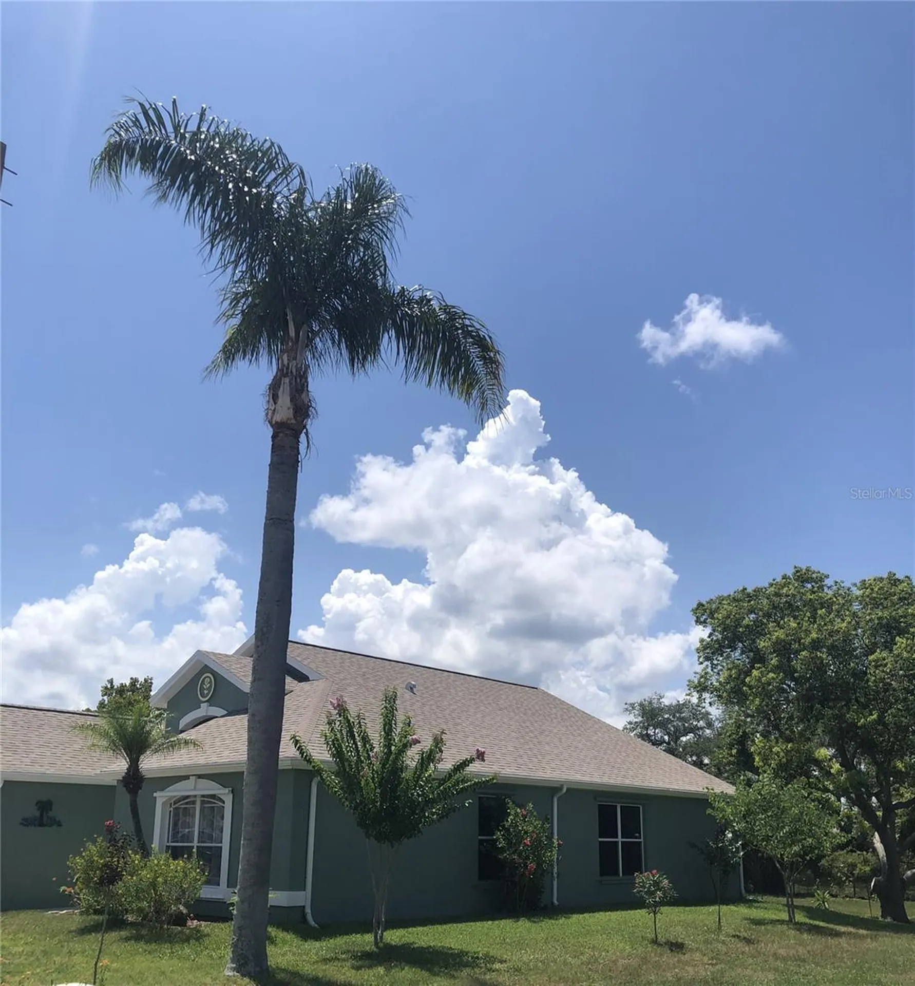 10125 Peoples Loop Port Richey FL 34668