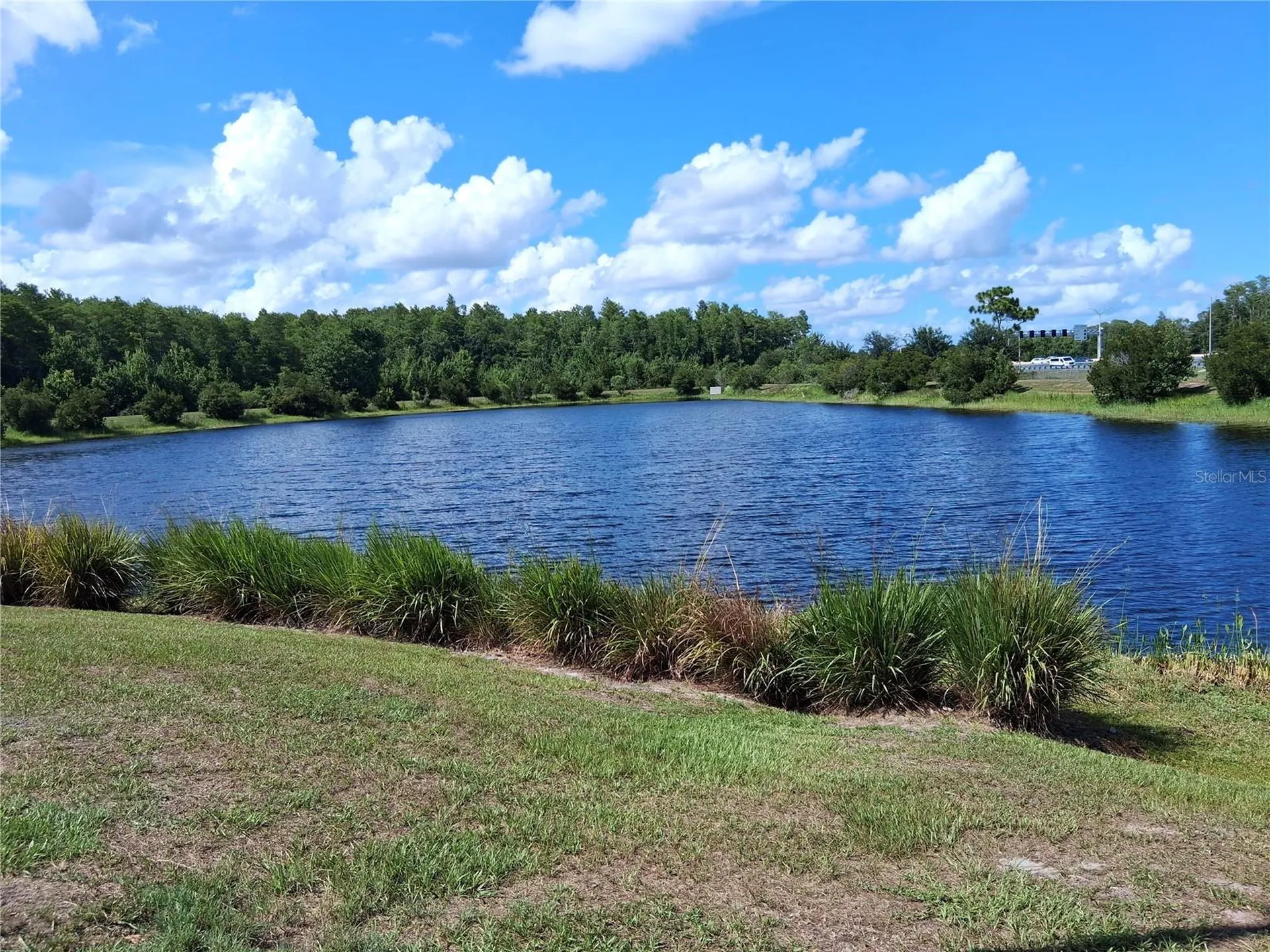 10009 Eagle Rock Alley Orlando FL 32832