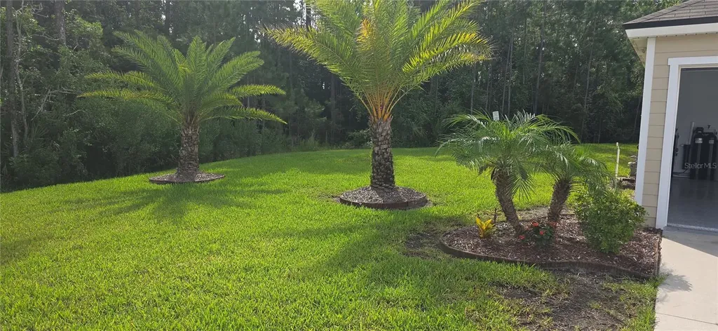 16 Pinnacle Place Bunnell FL 32110