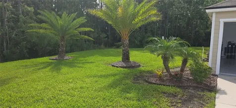 16 Pinnacle Place Bunnell FL 32110