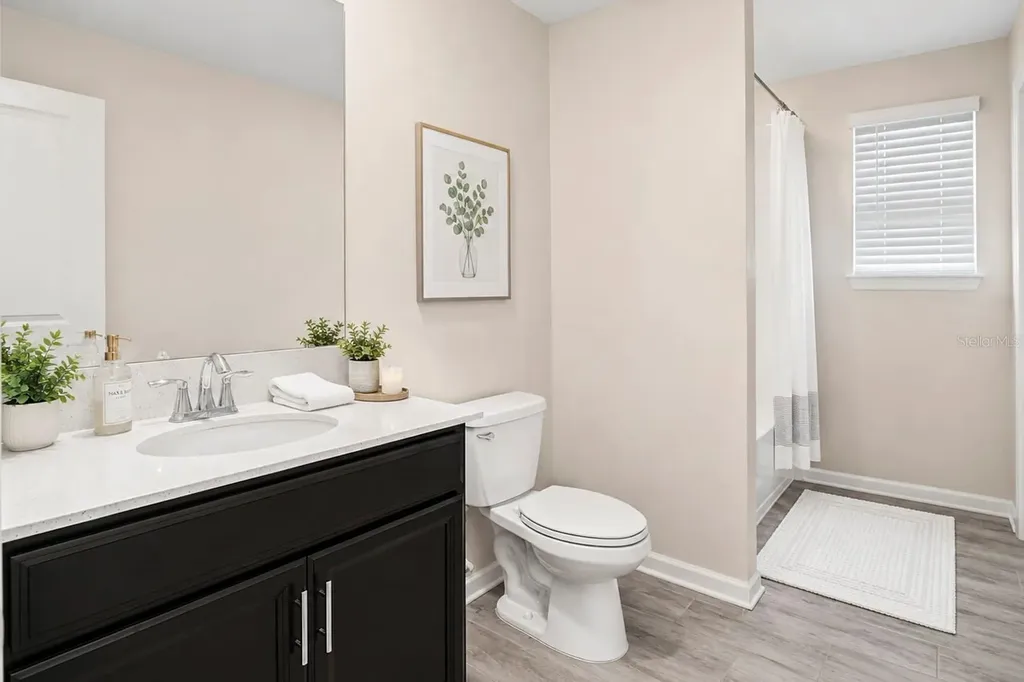 5705 Alenlon Way Mount Dora FL 32757