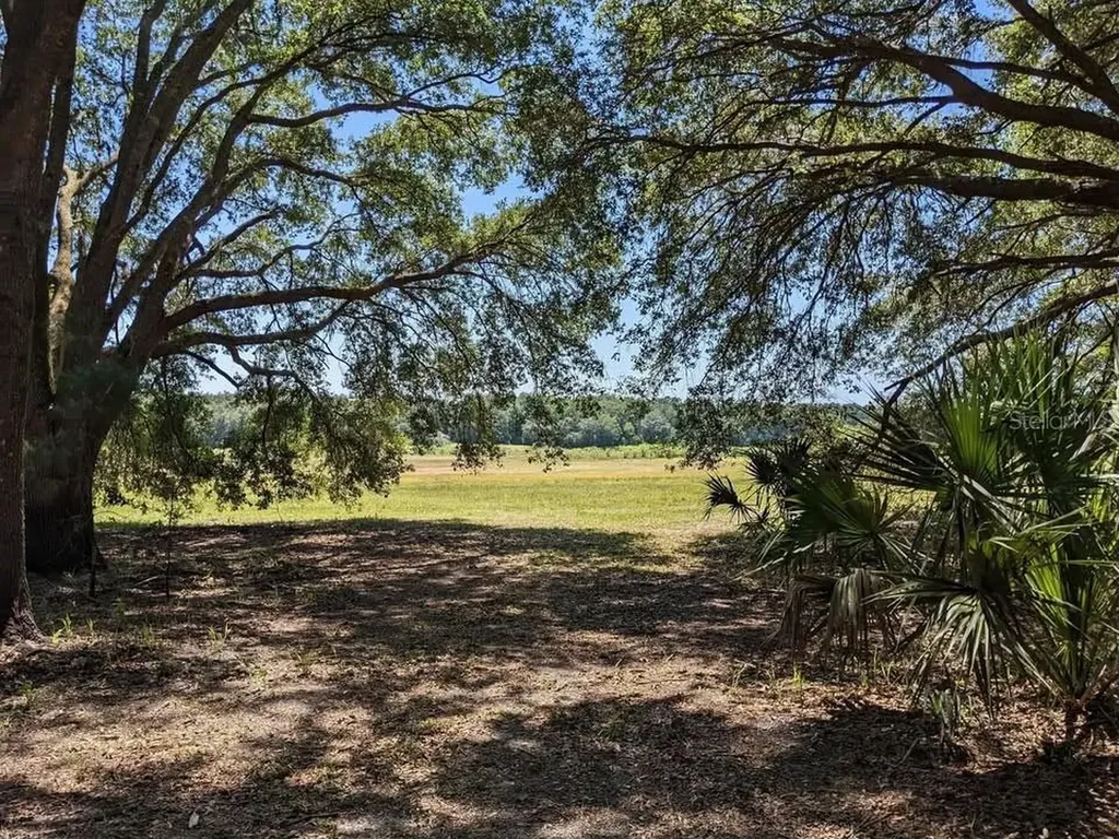 00 NW 60th Avenue Chiefland FL 32626