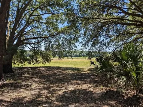 00 NW 60th Avenue Chiefland FL 32626