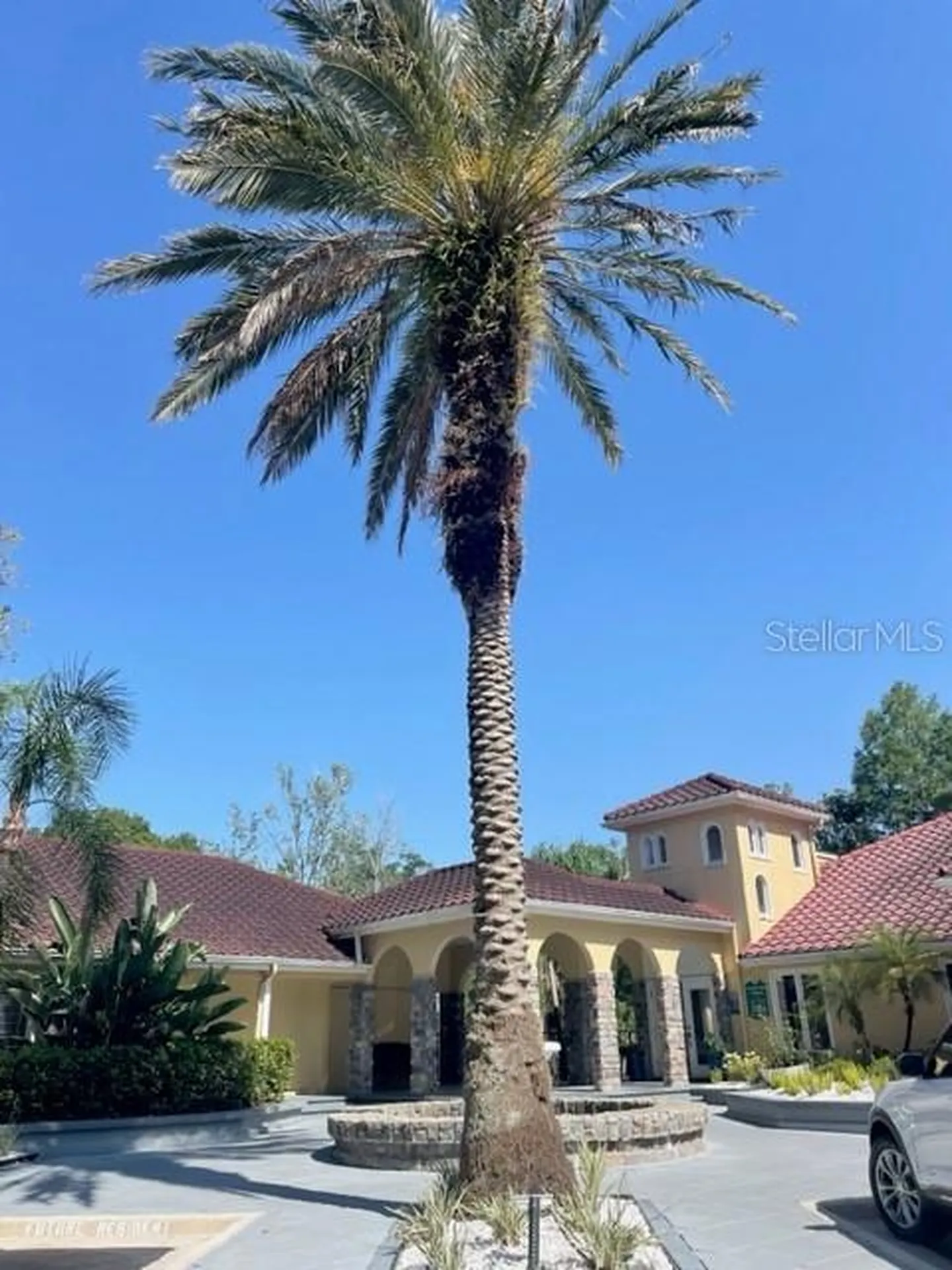 3548 Tobago Lane Tampa FL 33614