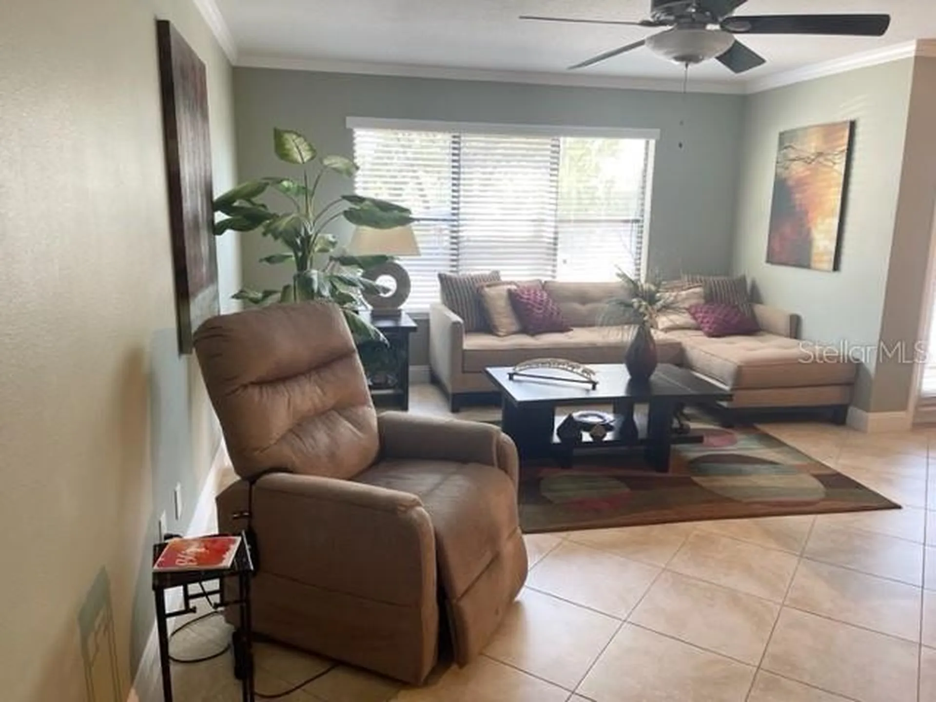 3548 Tobago Lane Tampa FL 33614