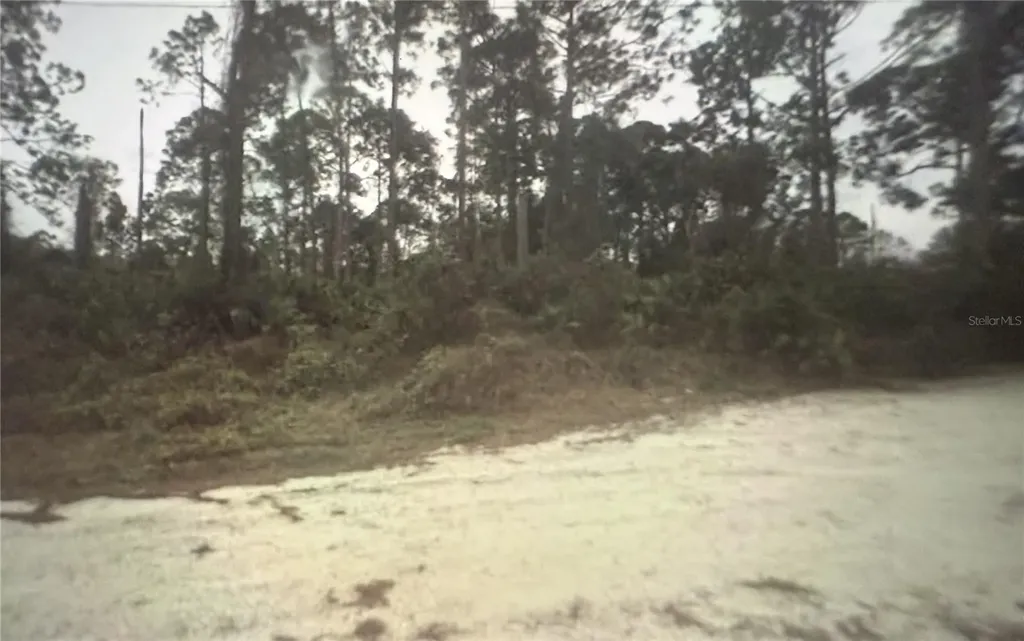350 Tern Avenue Sebring FL 33870