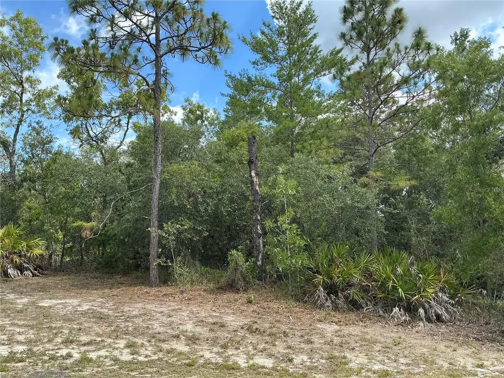 Persimmon Avenue Weeki Wachee FL 34614