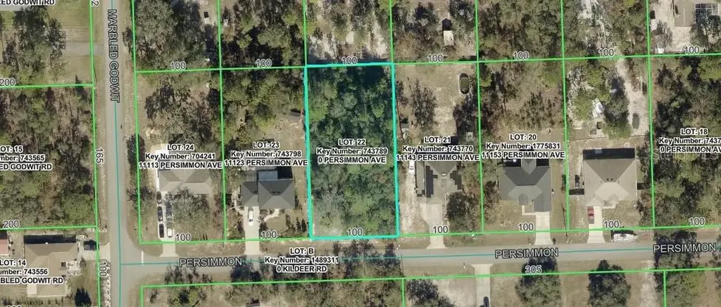 Persimmon Avenue Weeki Wachee FL 34614