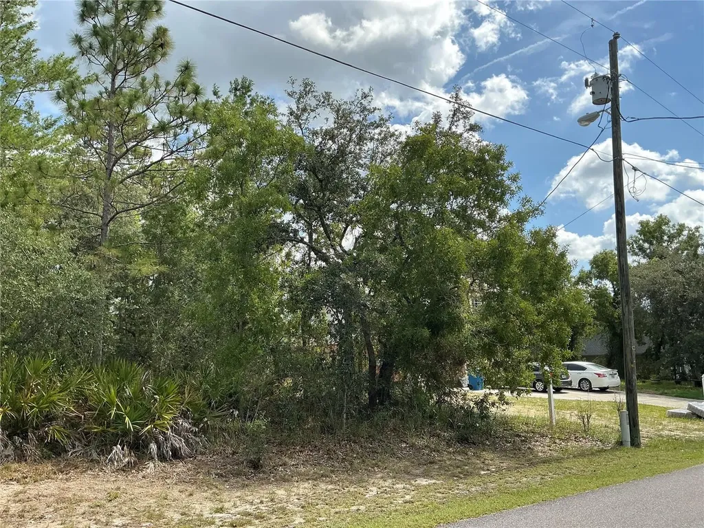 Persimmon Avenue Weeki Wachee FL 34614
