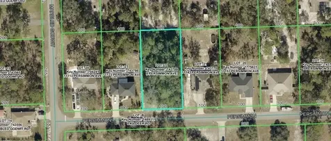 Persimmon Avenue Weeki Wachee FL 34614