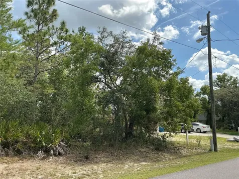 Persimmon Avenue Weeki Wachee FL 34614