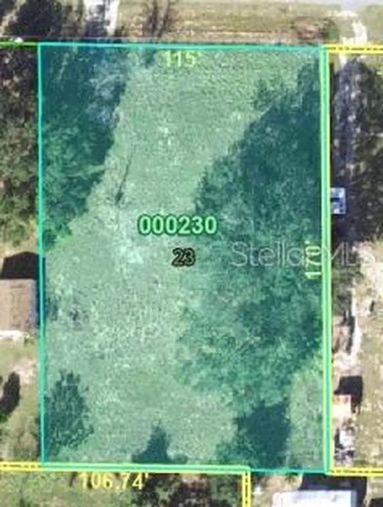 1623 Evangelia Drive Davenport FL 33837