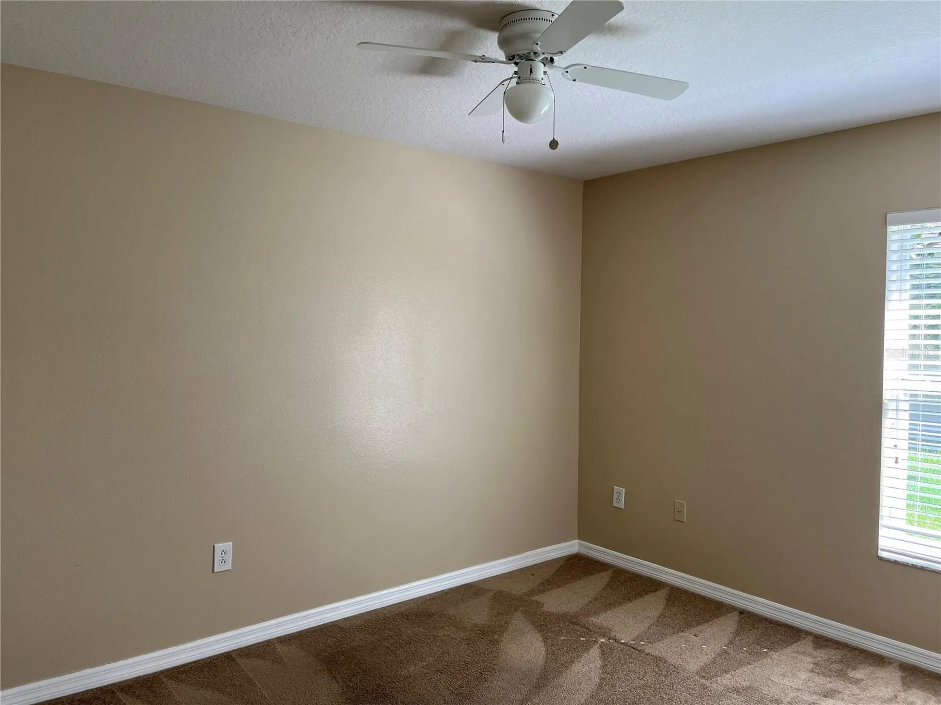 5909 Sweet William Terrace Land O Lakes FL 34639