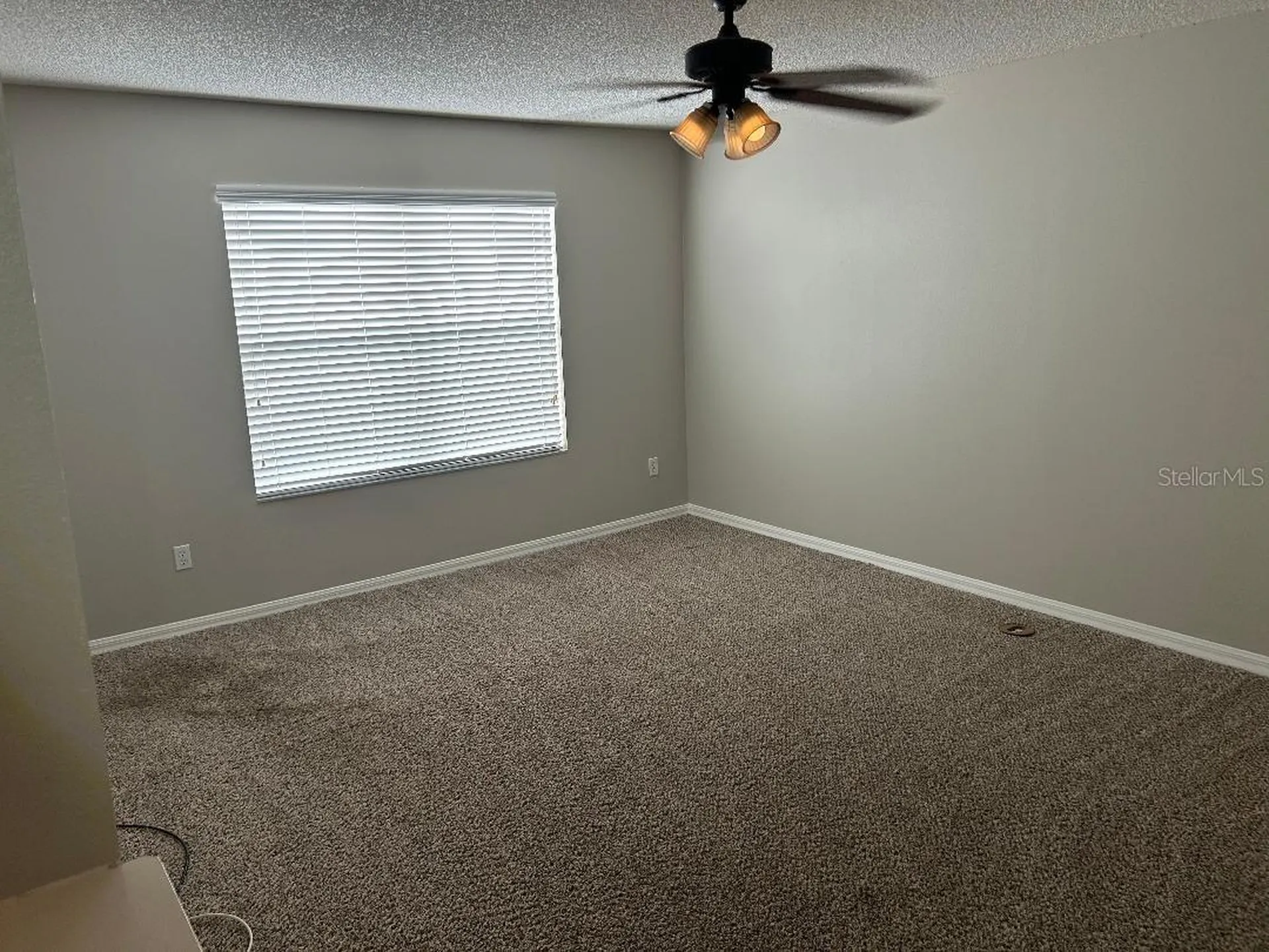 14017 Wild Majestic Street Orlando FL 32828