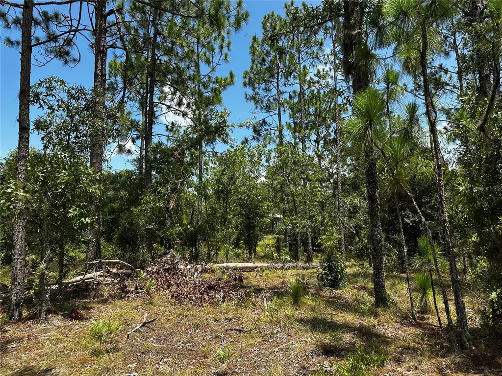 150 SE 144th Avenue Williston FL 32696
