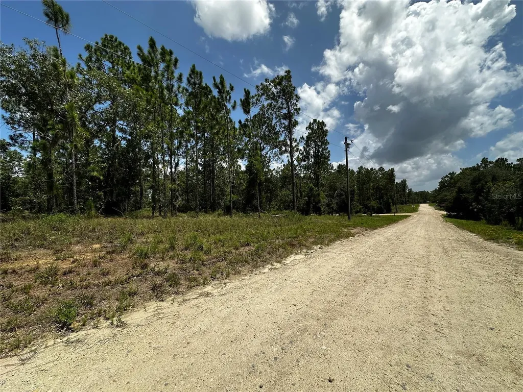 150 SE 144th Avenue Williston FL 32696