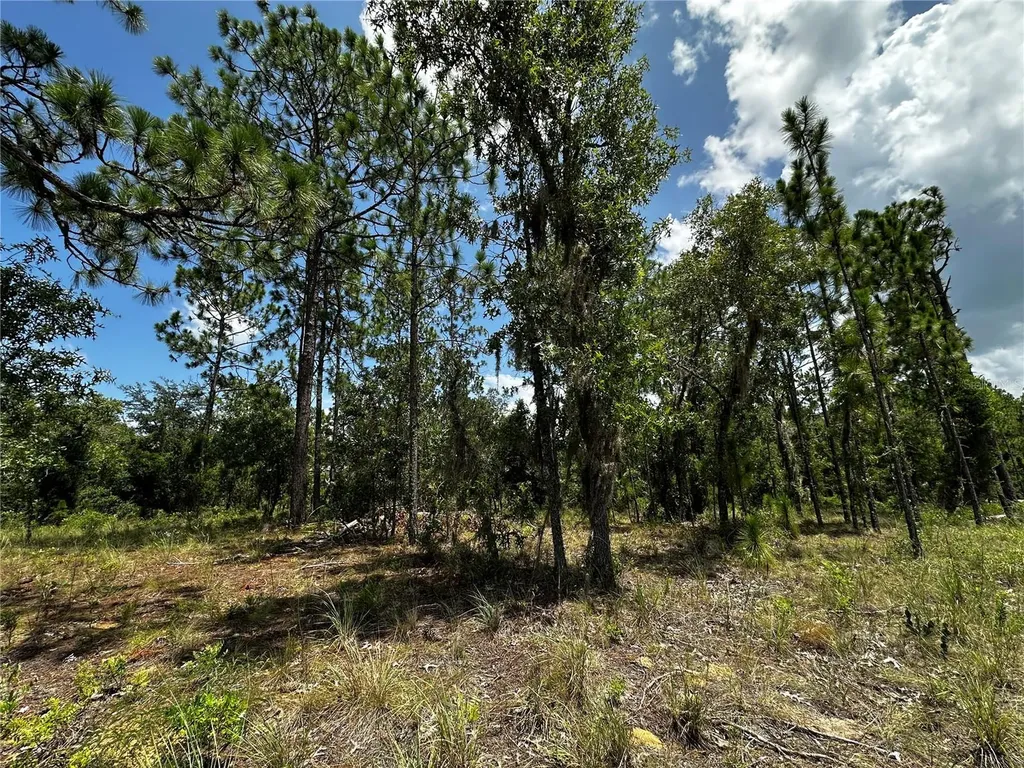 150 SE 144th Avenue Williston FL 32696