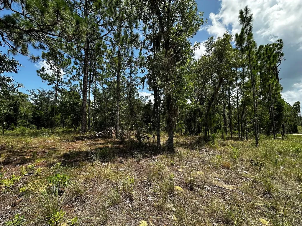 150 SE 144th Avenue Williston FL 32696