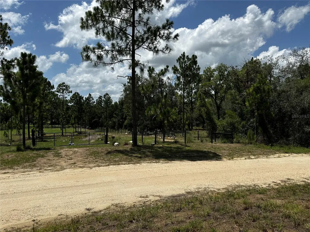 150 SE 144th Avenue Williston FL 32696