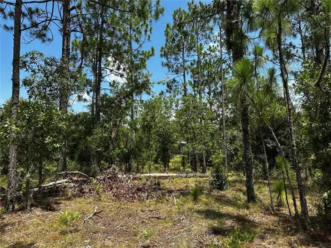 150 SE 144th Avenue Williston FL 32696