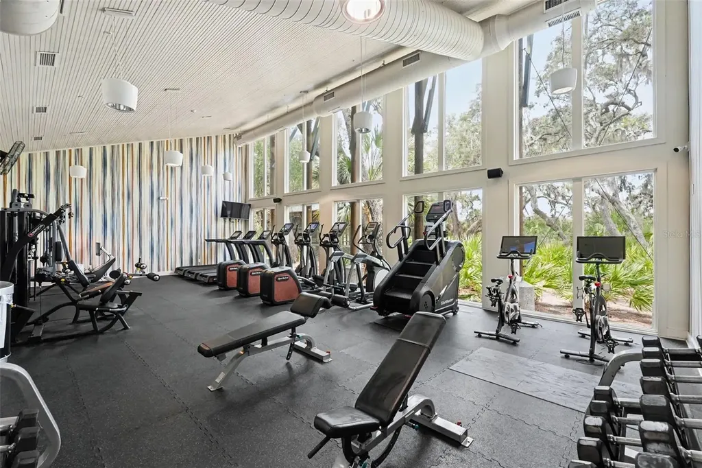 5724 Circa Fishhawk Boulevard Lithia FL 33547