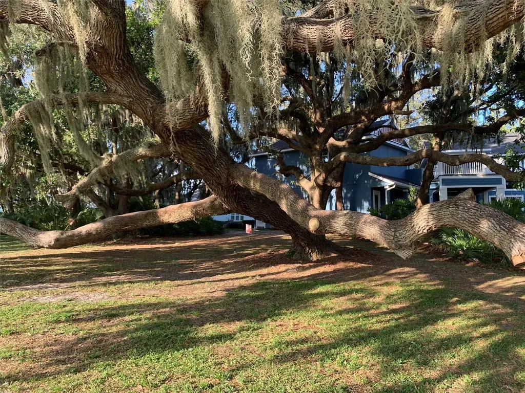 5724 Circa Fishhawk Boulevard Lithia FL 33547