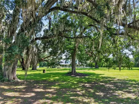 2039 SW State Road 26 Trenton FL 32693