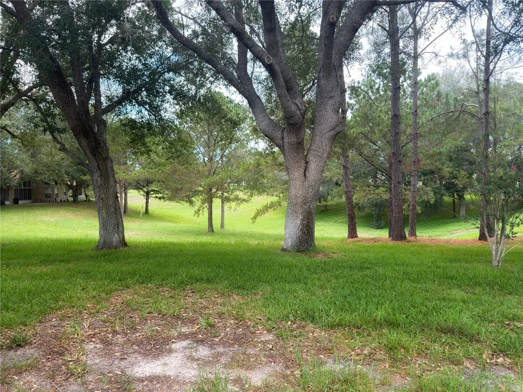 259 Center Oak Circle Spring Hill FL 34609