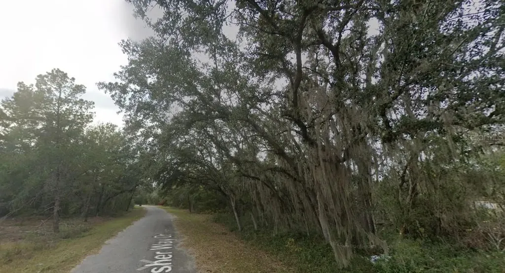 Fisher Way Dr Lot 16 Ocklawaha FL 32179