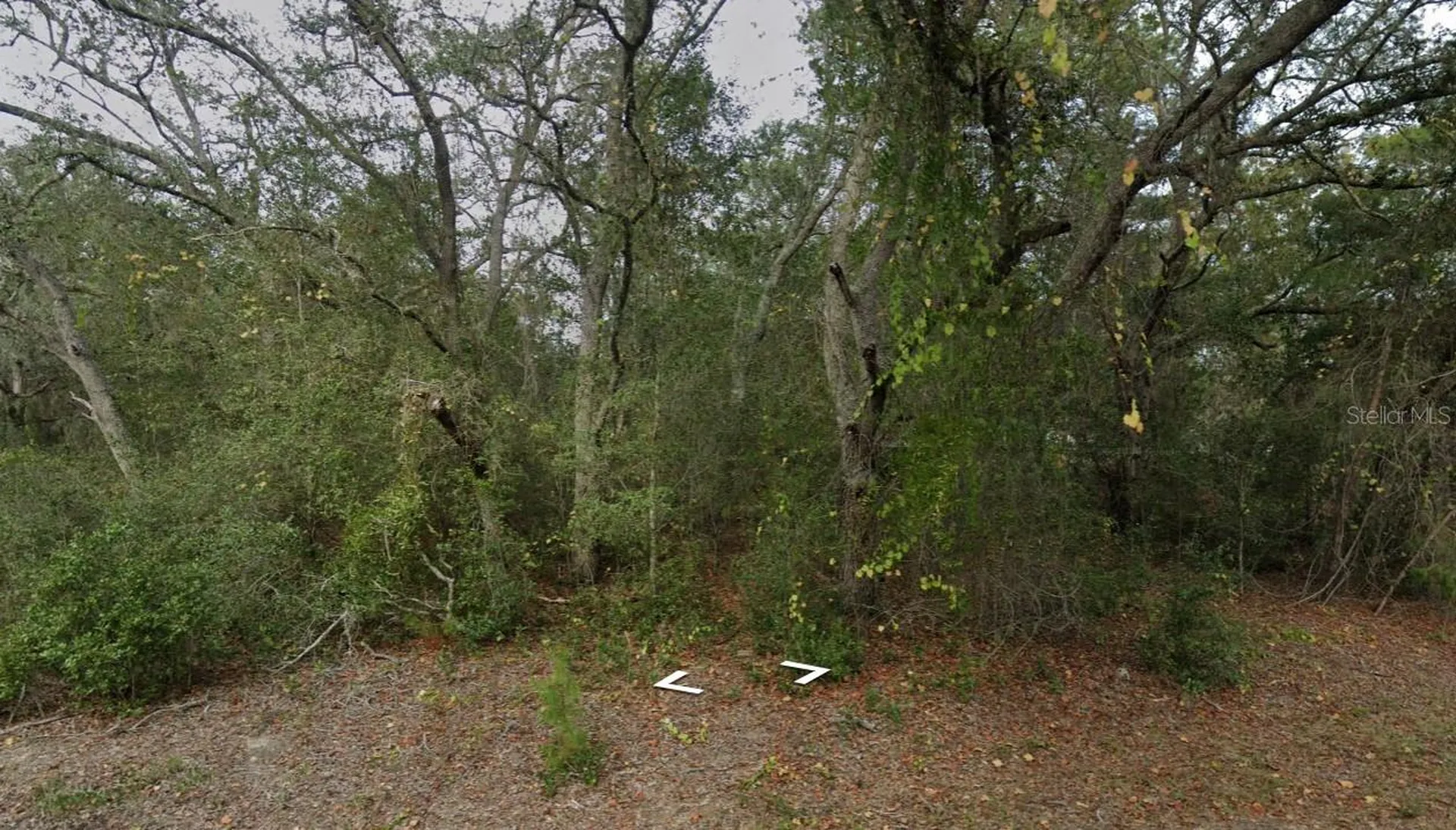 Fisher Way Dr Lot 16 Ocklawaha FL 32179