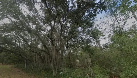 Fisher Way Dr Lot 16 Ocklawaha FL 32179