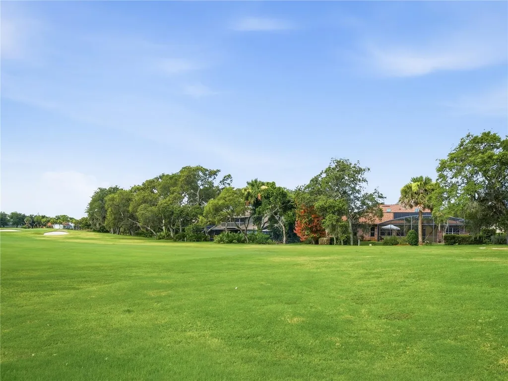 1018 Staggerbush Place New Smyrna Beach FL 32168