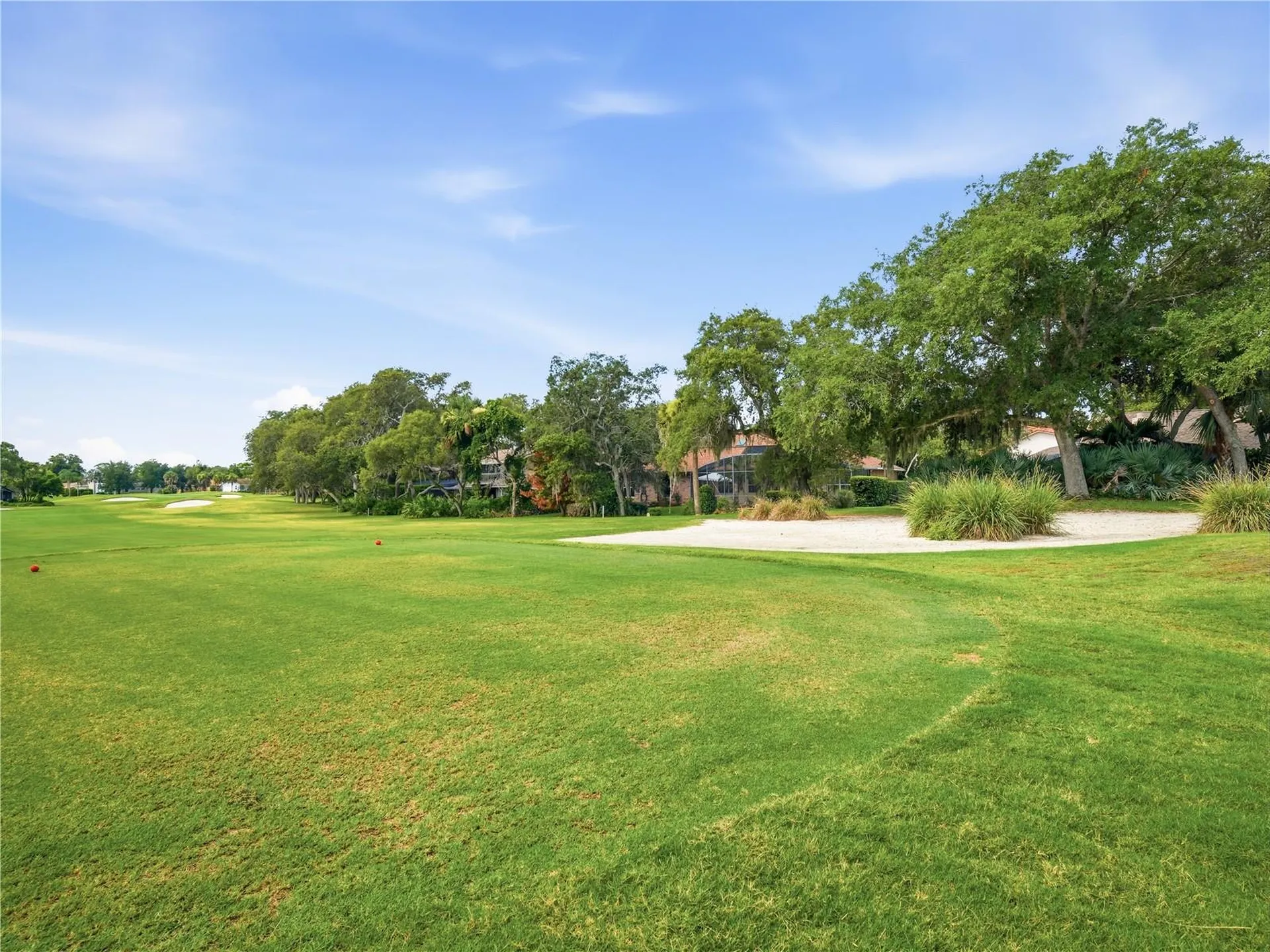 1018 Staggerbush Place New Smyrna Beach FL 32168