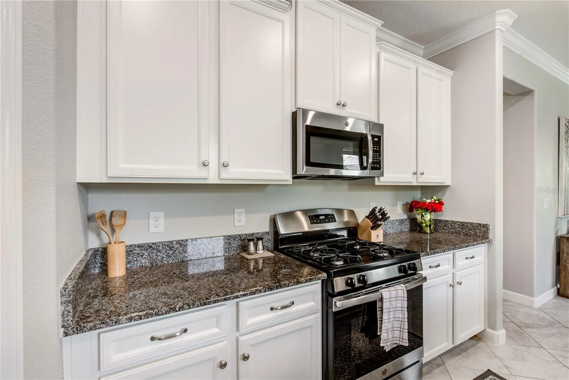 4976 Ballantrae Boulevard Land O Lakes FL 34638