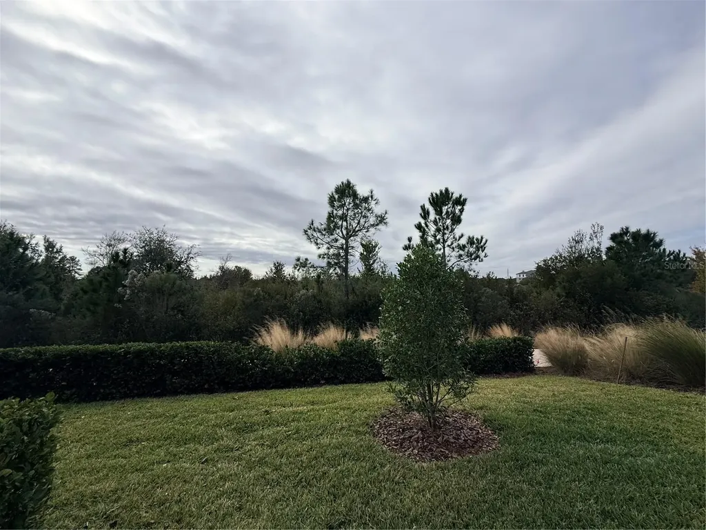 5443 Elmview Crossing Wesley Chapel FL 33545