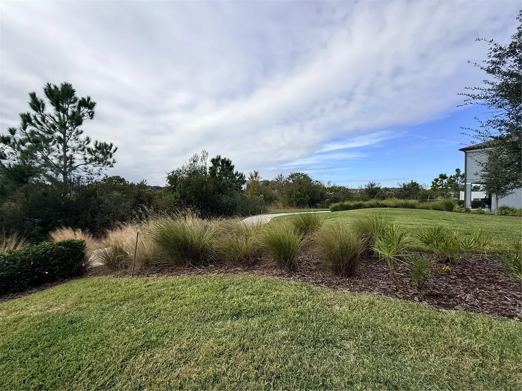 5443 Elmview Crossing Wesley Chapel FL 33545