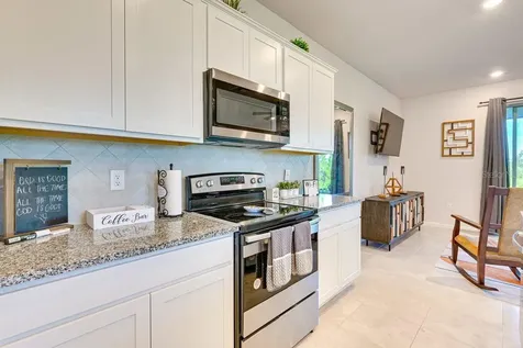 5443 Elmview Crossing Wesley Chapel FL 33545
