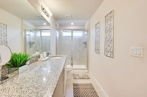 5443 Elmview Crossing Wesley Chapel FL 33545