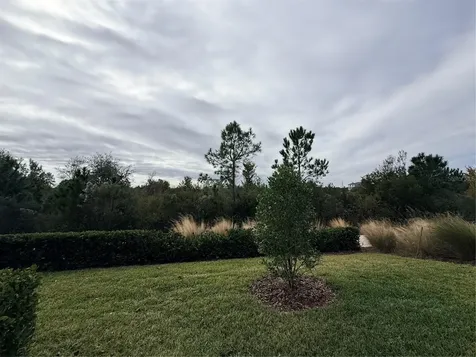 5443 Elmview Crossing Wesley Chapel FL 33545