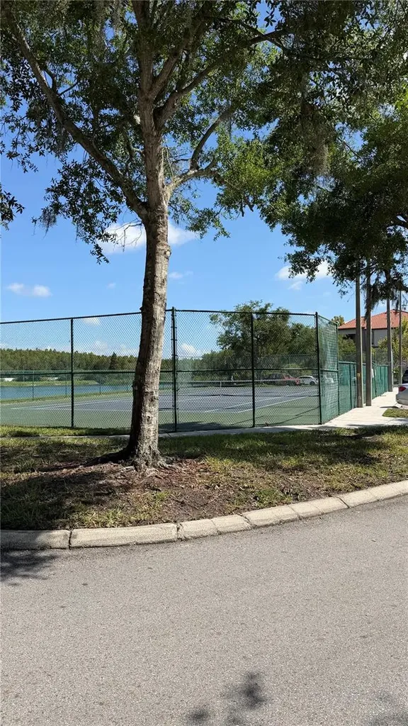 4209 Woodstorks Walk Way Lutz FL 33558