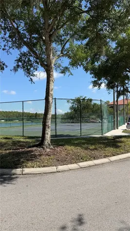 4209 Woodstorks Walk Way Lutz FL 33558