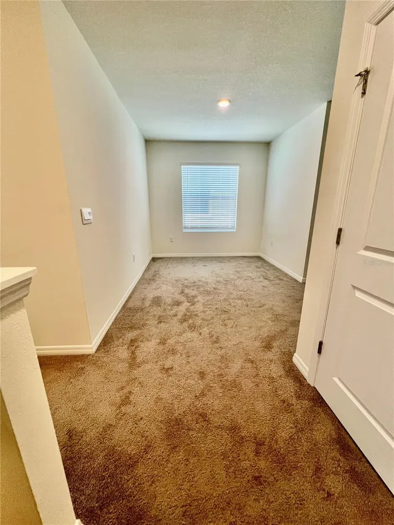 32557 Turtle Grace Loop Wesley Chapel FL 33545