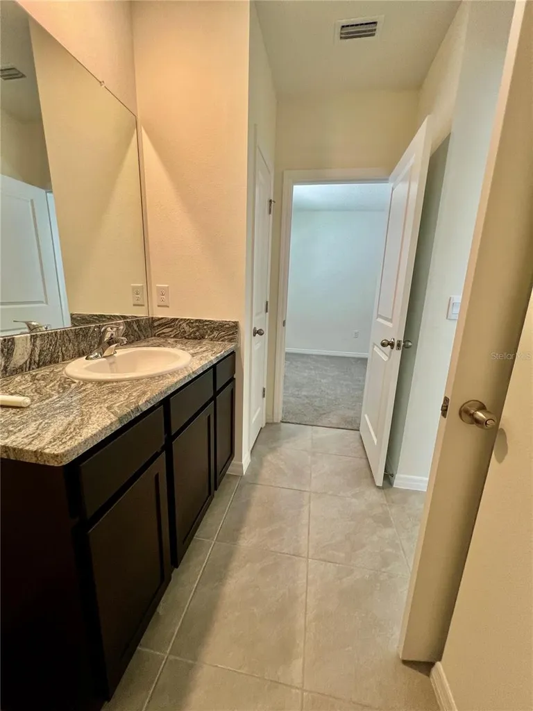 32557 Turtle Grace Loop Wesley Chapel FL 33545