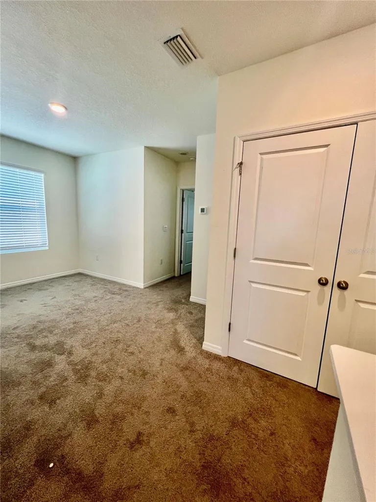 32557 Turtle Grace Loop Wesley Chapel FL 33545