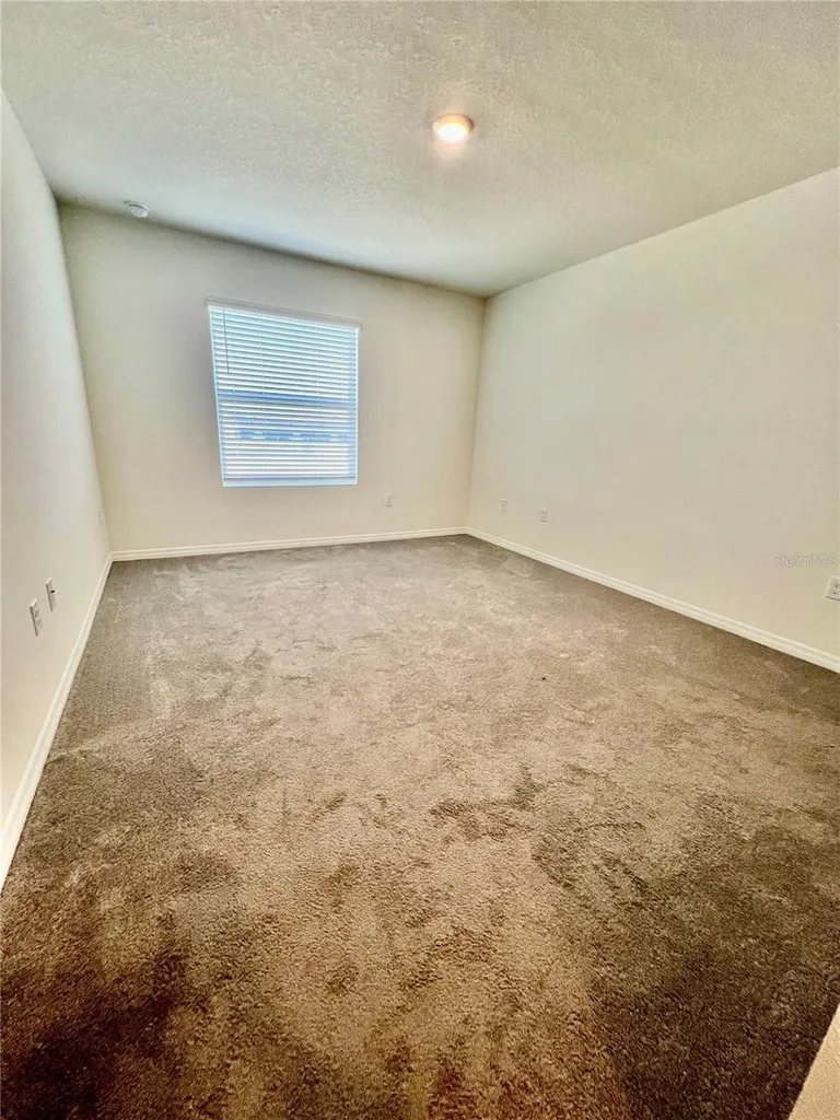 32557 Turtle Grace Loop Wesley Chapel FL 33545