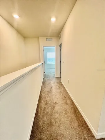 32557 Turtle Grace Loop Wesley Chapel FL 33545