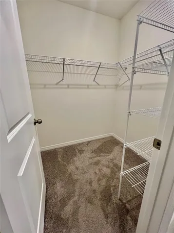 32557 Turtle Grace Loop Wesley Chapel FL 33545