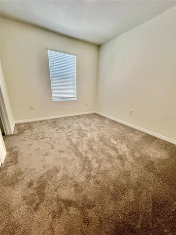 32557 Turtle Grace Loop Wesley Chapel FL 33545